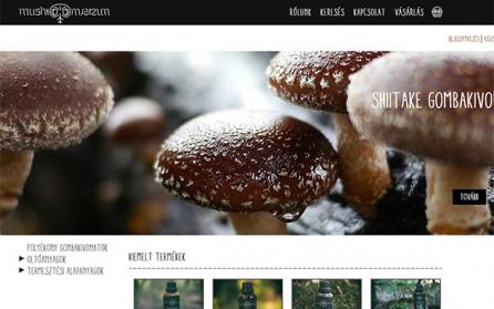 mushroomverzum.com